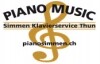 img_28941pianomusicsimmenthun