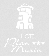 img_PlanMurin